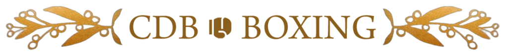 Christophe De Busillet – Cours de boxe